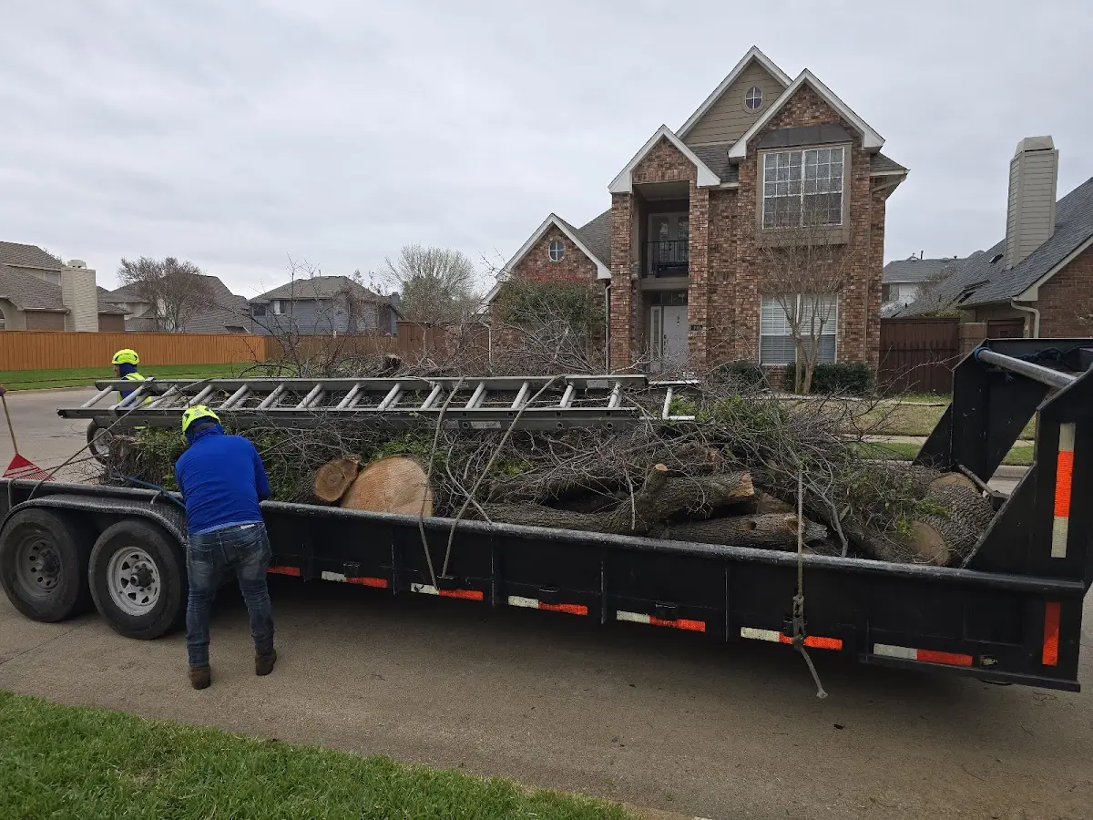 Expert Tree Pest Control with proper safety equipment in Luna